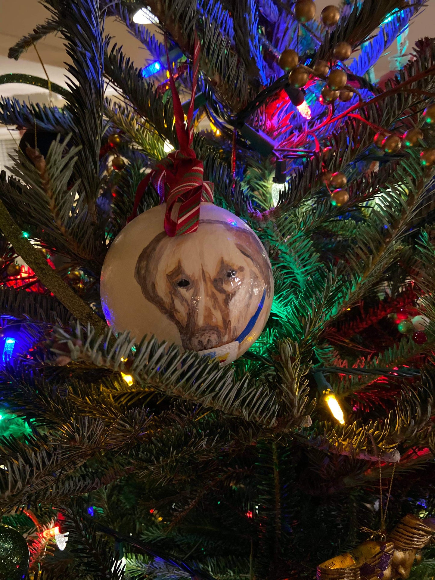 Custom Ornament